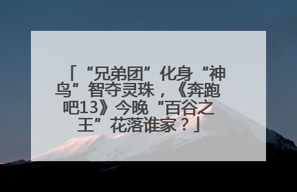 “兄弟团”化身“神鸟”智夺灵珠，《奔跑吧13》今晚“百谷之王”花落谁家？